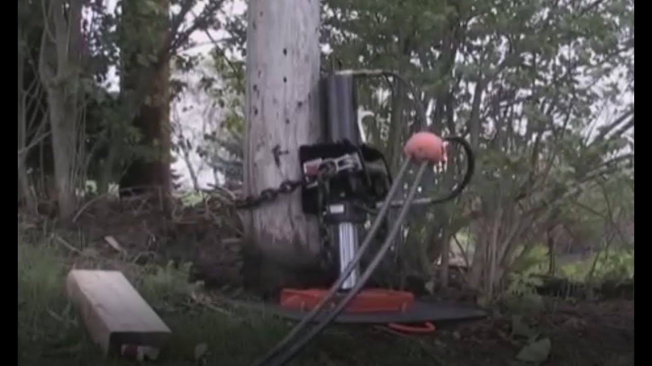 Tiiger inc. Pole Pulling Instructional Video