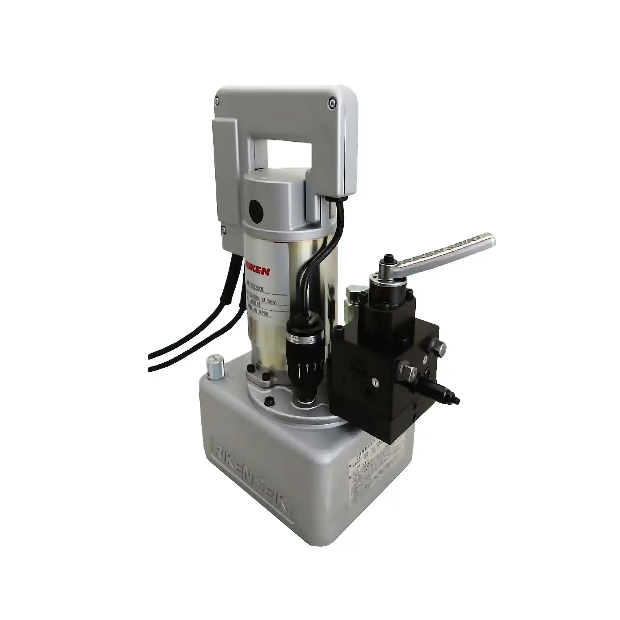 Riken Double Acting Small Motor Pump - Image 2