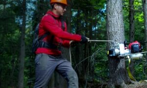 pwinch2025_promo_action_img02